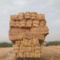کلش پریس گندم کاه