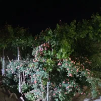 منزل ویلایی فروشی|فروش خانه و ویلا|اسلامیه, |دیوار