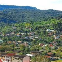 طبیعت سرسبزوجنگلی شیرگاه،باچشم انداز زیباودنج|اجارهٔ کوتاهمدت آپارتمان و سوئیت|شیرگاه, |دیوار