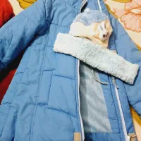 کاپشن|لباس|مشهد, گلبرگ شمالی|دیوار