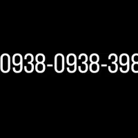 0938-0938-398