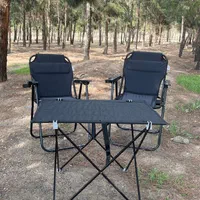 صندلی مسافرتی تاشو  شرکتی ایرانیان