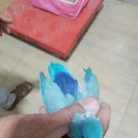 طوطی|پرنده|بم, |دیوار