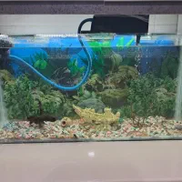 اکواریوم متر ۱×۳۵سانت