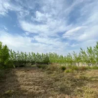 معاوضه و فروش زمین در منگوده|فروش زمین و ملک کلنگی|رشت, بلوار گیلان|دیوار