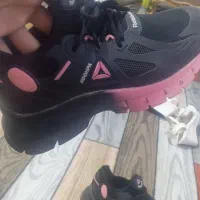 کفش|کیف، کفش، کمربند|تربت‌حیدریه, ابوذر|دیوار