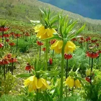 راهنمایی