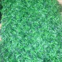 فروش و نصب چمن مصنوعی، فنس دیواری، تایل ترمود|خدمات باغبانی و درختکاری|اصفهان, خواجو|دیوار