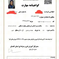 ارائه مدرک فنی حرفه ای