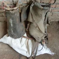 زین اسب|اسب و تجهیزات اسب‌سواری|سلماس, |دیوار