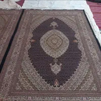 جفت ۶متری کرم و سرمه‌ای