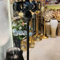 آباژور کنار سالنی بلک