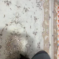 فرش ۹ متری|فرش|رشت, پیرکلاچای|دیوار