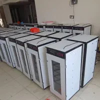 دستگاه جوجه کشی  zdضربه سه لـایــه
