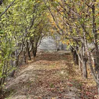 405متر-باغچه-سنددار-سهیلیه-زعفرانیه