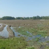 ۳هزار متر زمین مزروعی جاده تا سر زمین