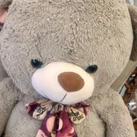 عروسک خرس|اسباب‌‌بازی|محمدشهر, محمدشهر|دیوار