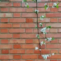 پیش-فروش-آپارتمان-بلوار-هجرت