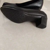 کفش مجلسی|کیف، کفش، کمربند|ملایر, |دیوار