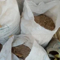 فروش کود گوسفندی