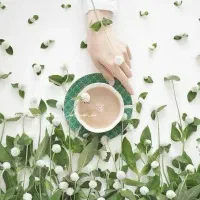 ادمین حرفه ای تبلیغاتی