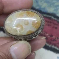 انگشتر قدیمی عتیقه فسیل|کلکسیون اشیاء عتیقه|وحیدیه, |دیوار