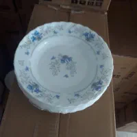 پخش آرکوپال|ظروف سرو و پذیرایی|اردبیل, |دیوار