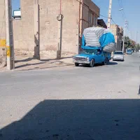 گاه کمباینی وچاپری درجه یک|لوازم جانبی حیوانات|مرودشت, کناره|دیوار