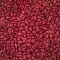 لوبیا قرمز درجه یک