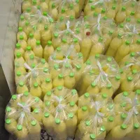 ابلیمو طبیعی|خوردنی و آشامیدنی|اصفهان, باتون|دیوار