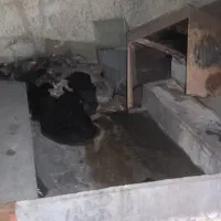 کفی و باربند وانت