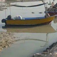 موتور چهل تخم مرغی تشت 21