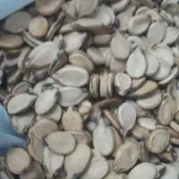 خریدار تخمه هندوانه محبوبی کدو