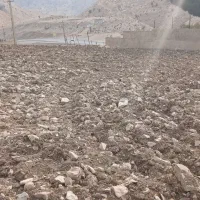 زمین روستای میشخاص کله کبود