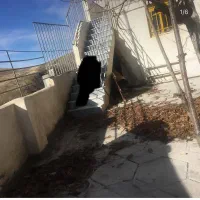 زمین کشاورزی و باغ و ویلا|فروش دفتر صنعتی، کشاورزی، تجاری|صحنه, |دیوار