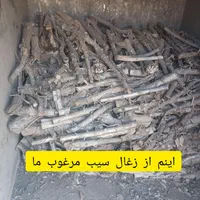 زغال سیب و آجیلی