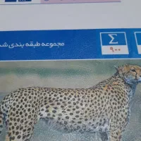 کتابهای آبی قلمچی نهم|کتاب و مجله آموزشی|تهران, افسریه شمالی|دیوار