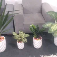 گلها شاداب وسر حال اپارتمانی