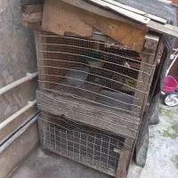 فروش قفسه ی نگهداری مرغ وجوجه