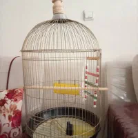 قفس با تمام وسایل در حد نو
