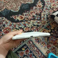 تلبت|تبلت|زابل, |دیوار
