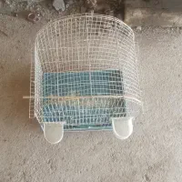قفسه پرنده