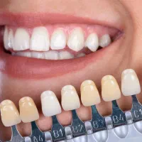 دندانسازی. و ساخت پروتز کامل و دانه ای