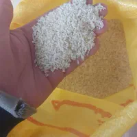 برنج لاشه هاشمی خالص خالص