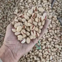 خرید وفروش پسته|عمده‌فروشی|سیرجان, |دیوار