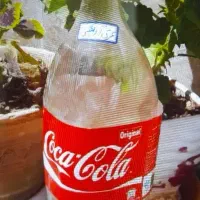 انواع ع قیمت خانگی