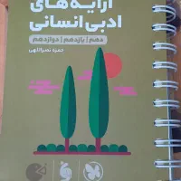 کتاب لقمه اقتصاد و آرایه های ادبی