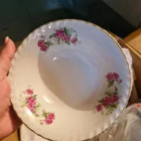 سرویس چینی گل سرخی|ظروف سرو و پذیرایی|کرج, شهرک فهمیده|دیوار