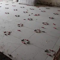 نیازمند استاد کاشیکار