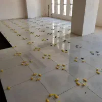 کاشیکاری و سرامیک|خدمات پیشه و مهارت|ایلام, |دیوار